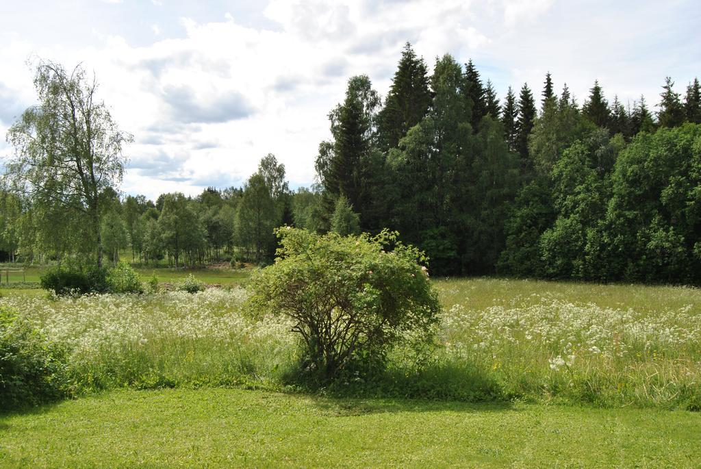 Orsastuguthyrning-Oljonsbyn Exterior foto
